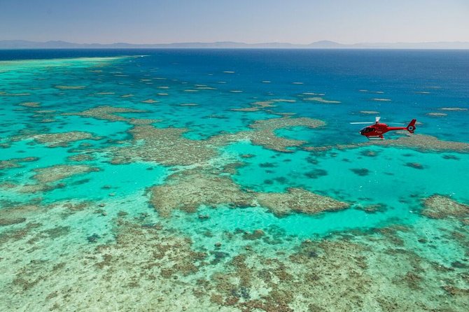 Great Barrier Reef Full-Day Cruise, Scuba Diving & Helicopter  - Cairns & the Tropical North - Tour Details