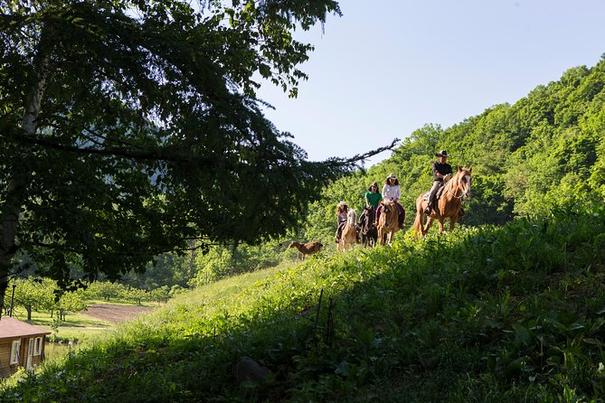Horseback-Riding in a Country Side in Sapporo - Private Transfer Is Included - Suitable for All