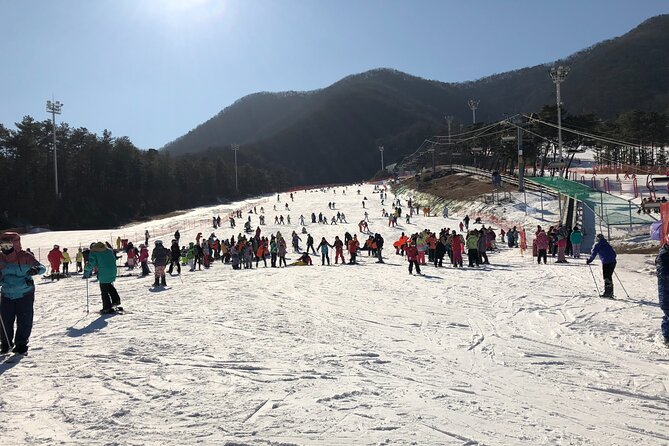 Jisan Ski Resort Everland One Day Tour - Tour Overview