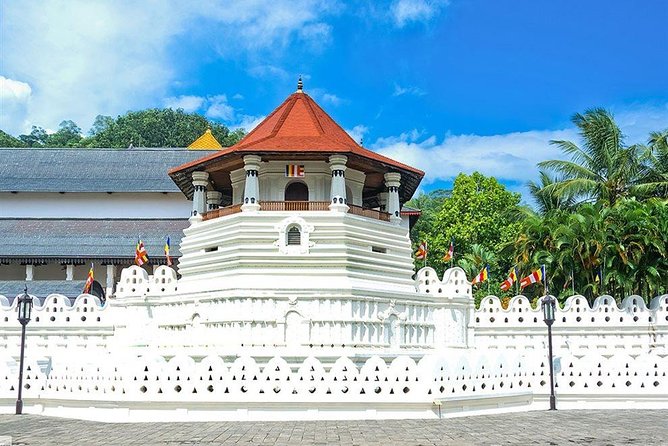 Kandy City Tour by Lux Tours Lanka - Meeting and Pickup Details