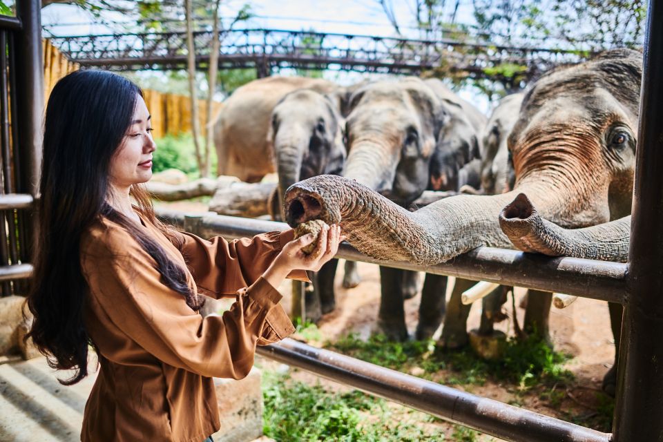 Koh Samui: Elephant Kingdom Sanctuary Half-Day Tour - Experience at the Elephant Sanctuary