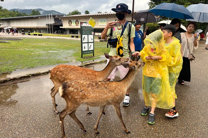 Kyoto and Nara 1 Day Bus Tour - Cancellation Policy