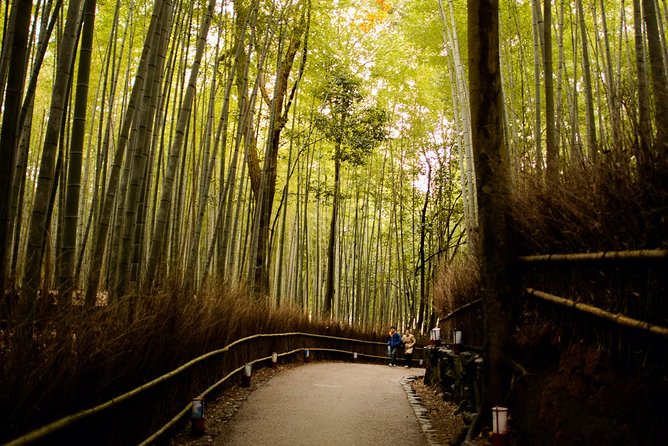 Kyoto Bamboo Forest Electric Bike Tour - Weather and Minimum Travelers