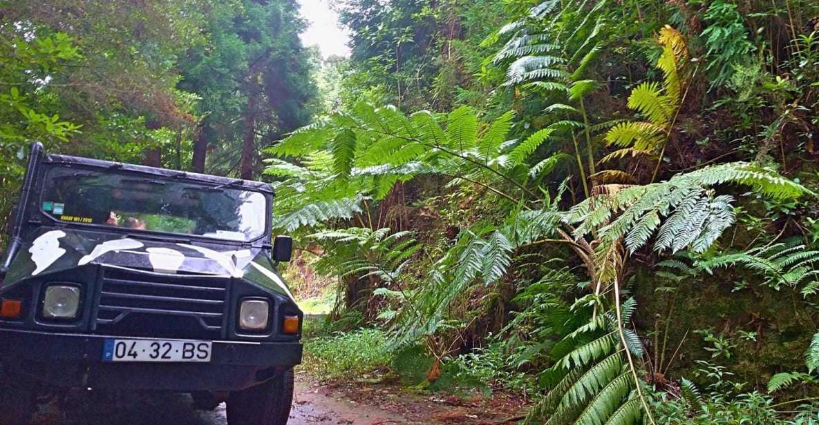 Madeira: Jeep Safari Tour - Exploring the Jurassic Forest by Jeep
