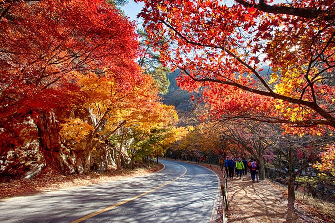Magnificent Naejangsan National Park Autumn Foliage Tour From Seoul - Naejangsan National Park Experience