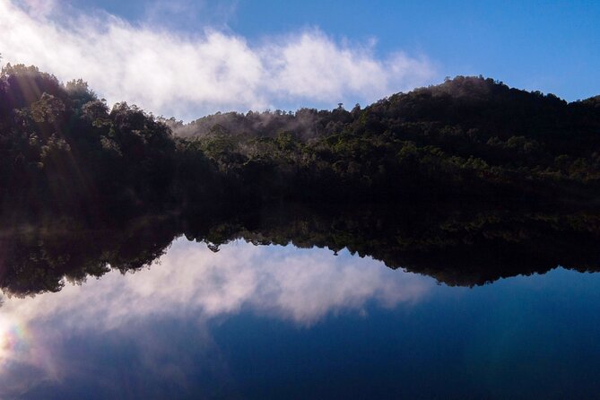 Morning World Heritage Cruise on the Gordon River From Strahan - Reviews From Travelers