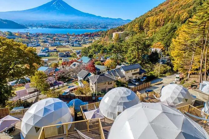 Mount Fuji Private Tour by Car With Pick up - Traveler Photos