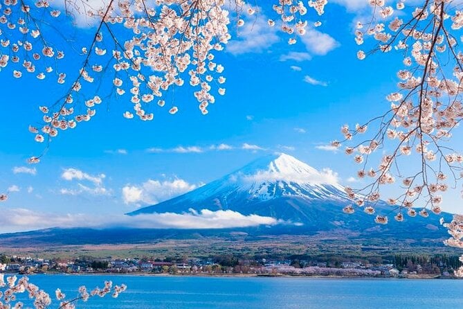 Mt. Fuji Five Lakes Area Private Tour With Licensed Guide(Kawaguchiko Area Dep) - Transportation Details
