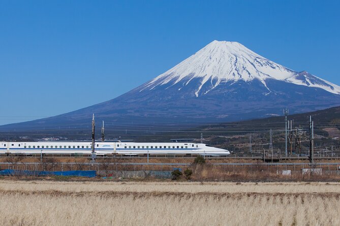 Mt. Fuji & Hakone 1 Day Tour From Tokyo (Return by Bullet Train in Option） - Reviews