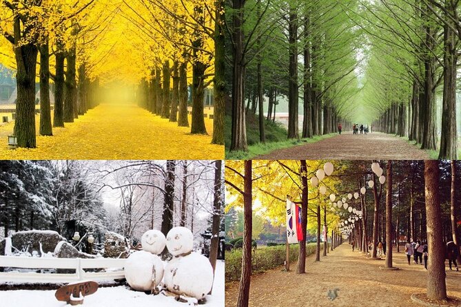 Nami Island & Petite France With Italian Village One-Day Tour - Select Date and Travelers