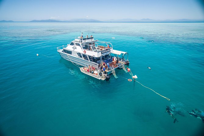 Ocean Freedom Great Barrier Reef Personal Luxury Snorkel & Dive Cruise, Cairns - Itinerary and Experience