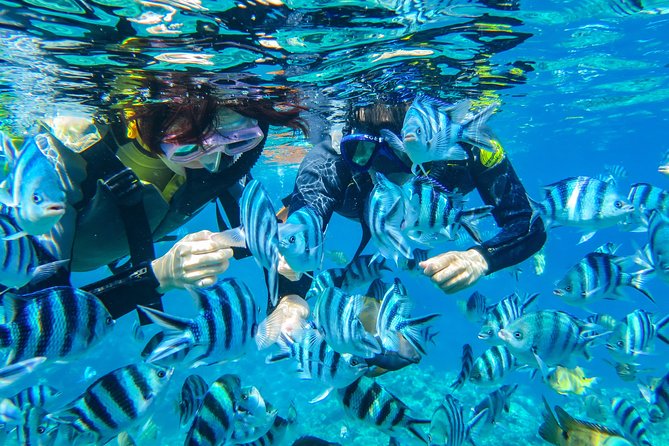 [Okinawa Blue Cave] Snorkeling and Easy Boat Holding! Private System Very Satisfied With the Beautif - Traveler Photos and Reviews