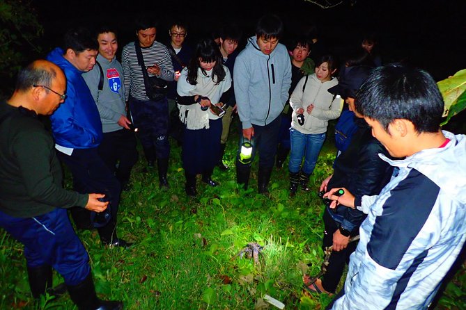 [Okinawa Iriomote] Night Adventure Tour - Additional Info