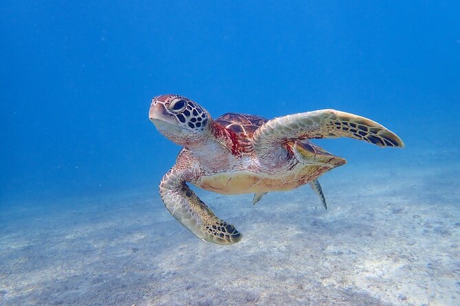 [Okinawa Miyako] 3set! Beach SUP・Tropical Snorkeling・PumpkinLimestone Cave・Canoe - What To Expect