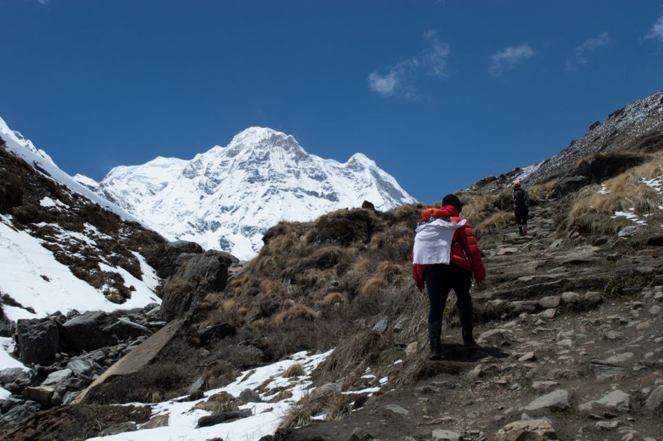 Pokhara: 5-Day Annapurna Base Camp Private Trekking Tour - Trekking Itinerary