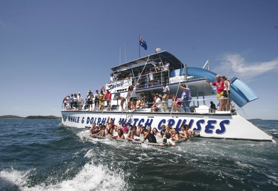 Port Stephens: Dolphin Watch Cruise With Swimming & Slides - Experience