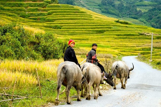 Private 3-Day Trek With Homestay Accommodation and Meals, Sapa  - Hanoi - Pickup and End Point Details