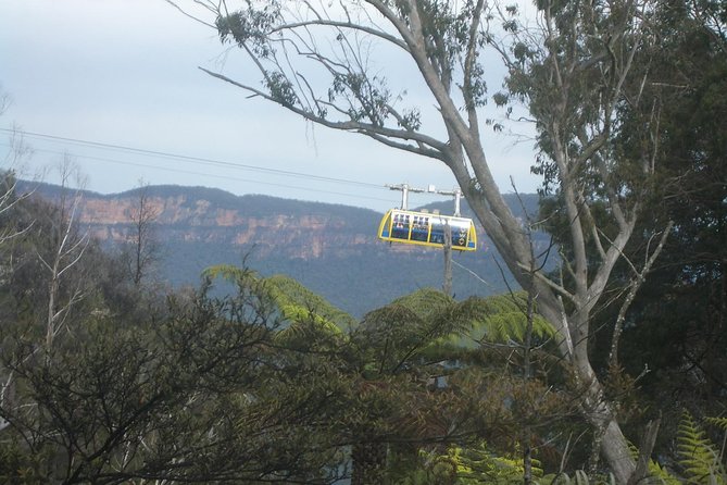 PRIVATE Blue Mountains 1 Day Tour With Wildlife Park & River Cruise - Tour Value