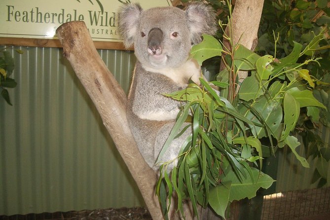 PRIVATE Blue Mountains Day Tour From Sydney With Wildlife Park and River Cruise - Inclusions and Pricing Information