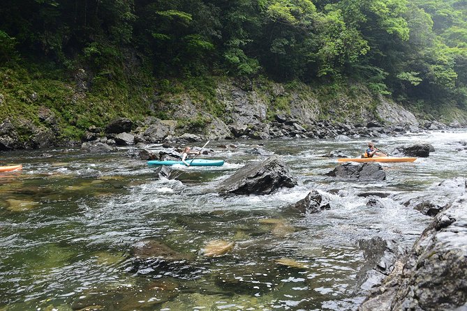 Private Half-Day Kayaking Trip on Kyushu's Anbo River  - Kagoshima Prefecture - Meeting and Pickup
