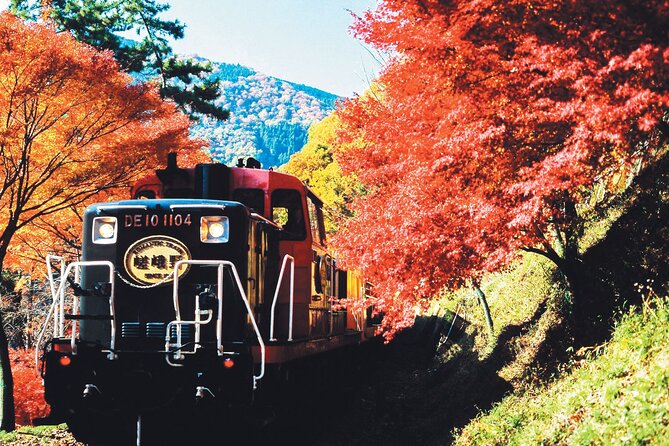 Sagano Romantic Train & Arashiyama, Kiyomizudera, Fushimi Inari Taisha Day Tour - Positive Reviews