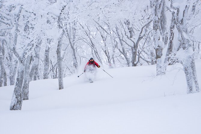 Ski or Snowboard Lesson in Shiga Kogen (4Hours) - End Point and Expectations