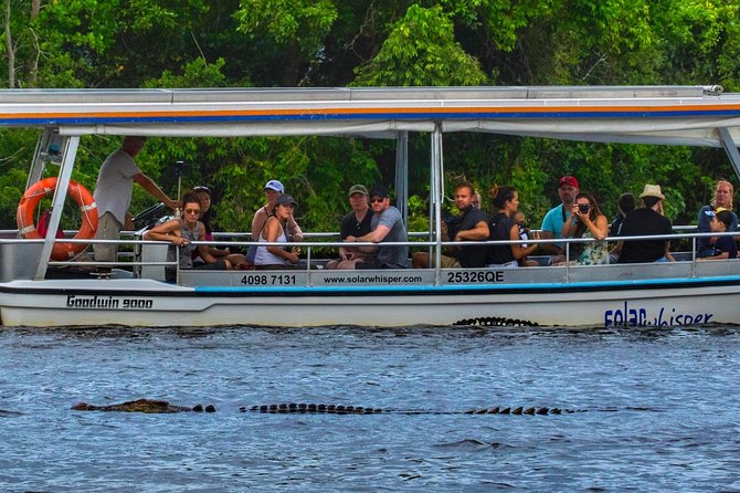 Solar Whisper Daintree River Crocodile and Wildlife Cruise - Activity Details