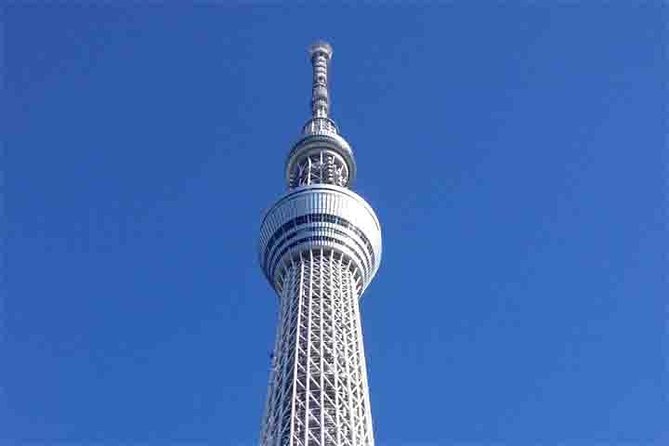 Tokyo City Private Tour by Subway - Reviews