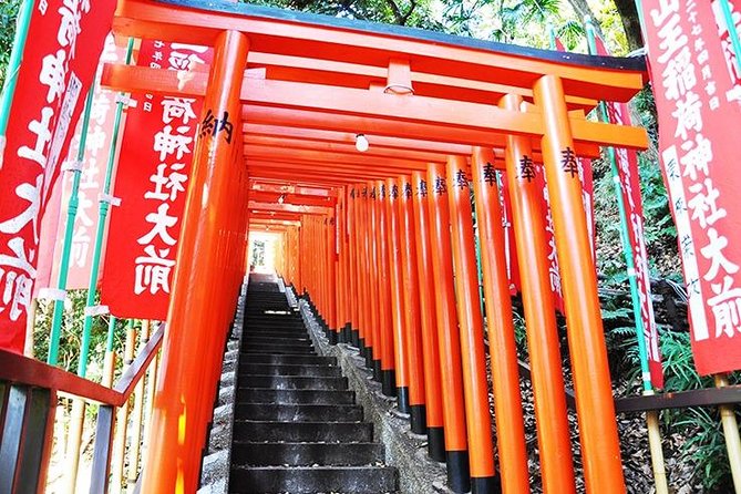 Tokyo off the Beaten Path Full-Day Private Tour With Government-Licensed Guide - Customization Options
