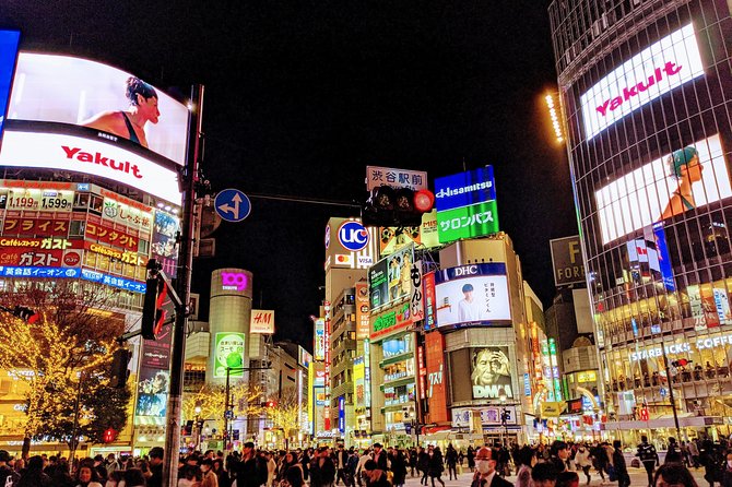Tokyo Private Car Tour: Professional Guide and Driver/Optional Airport Xfer - Traveler Reviews