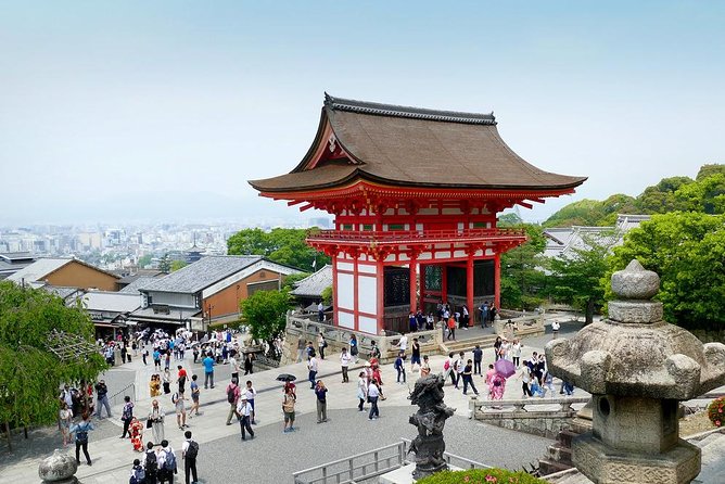 1 Day Private Kyoto Tour (Charter) - English Speaking Driver - Reviews and Feedback on Tour Guides