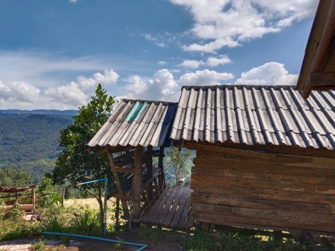 1 วันเดินทางเข้าร่วมกิจกรรมเทร็กเขาในป่าไทย - Customer Reviews