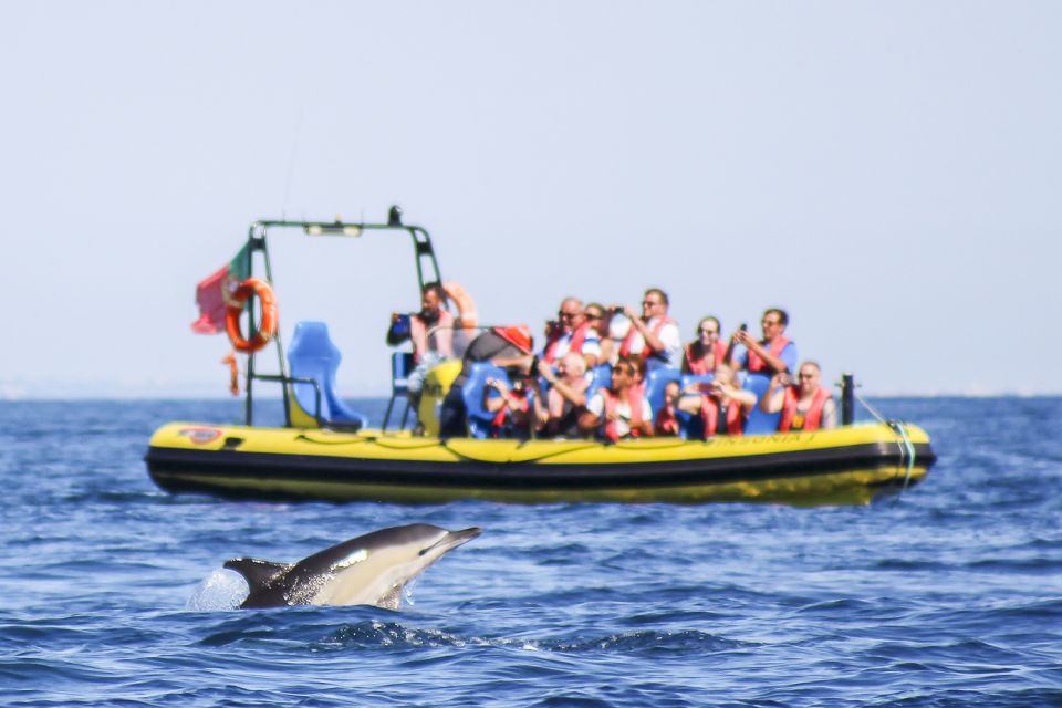 Albufeira: Benagil Caves & Dolphin Watching Speed Boat Tour - Full Description