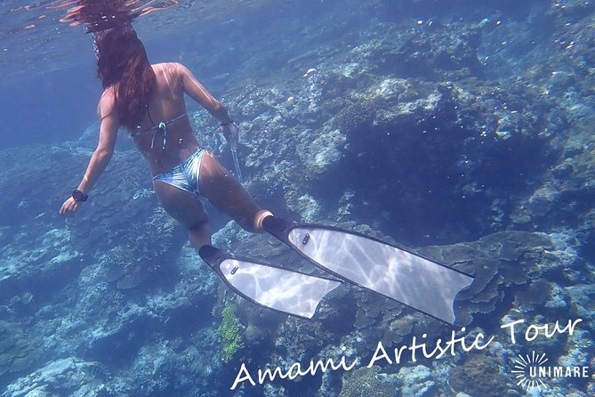 Amami Oshima Skin Diving Photo & Movie Tour! - Experienced Guides