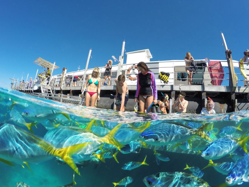 Cairns: Outer Great Barrier Reef Pontoon With Activities - Highlights