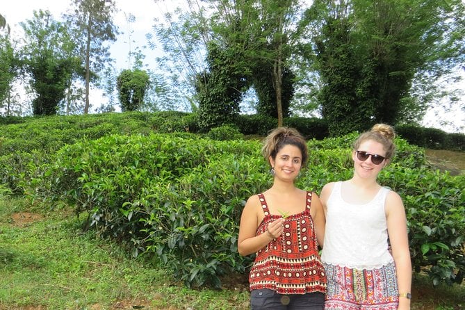 Day Tour to Nuware Eliya (Littel England) From Kandy - Traveler Photos