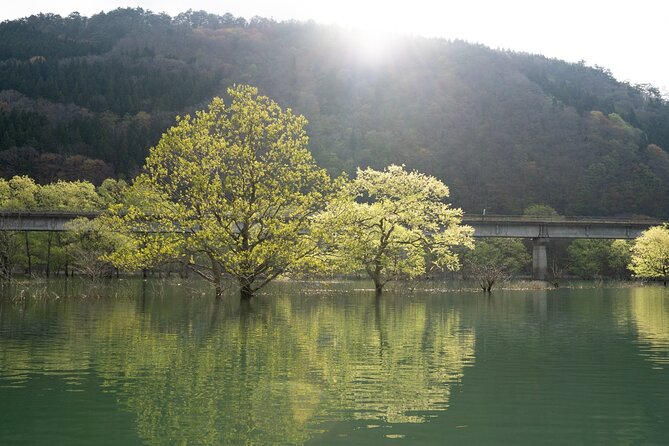Dive Naturally! Melting Kinshu Lake Submerged Forest Canoe Tour - Traveler Photos and Reviews