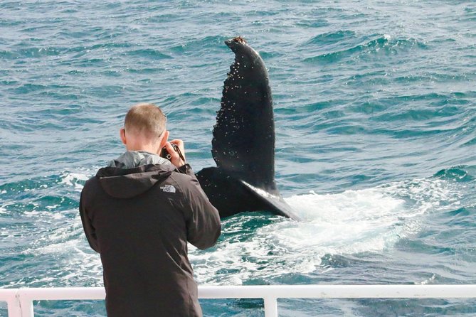 Dunsborough Whale Watching Eco Tour - Meeting and Pickup Information