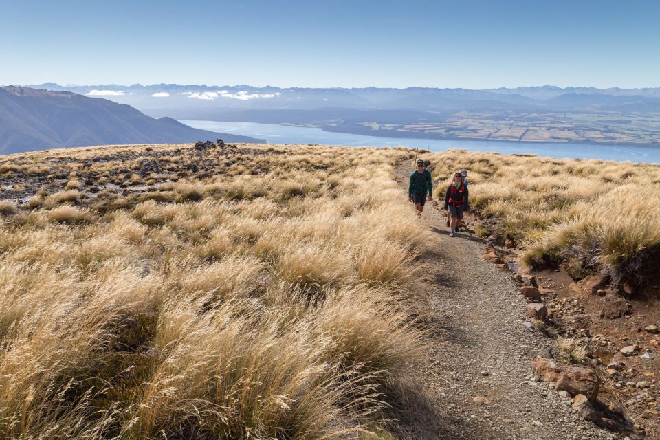 From Te Anau: Full Day Kepler Track Guided Heli-Hike - Full Description of the Activity