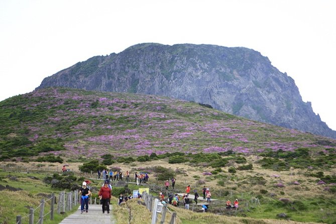 Full-Day Customizable Private Essential Jeju Island Tour for South Course - Questions