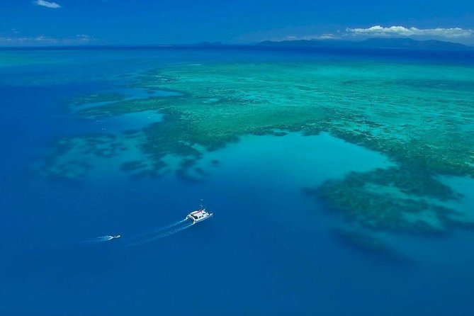 Full-Day Great Barrier Reef Sailing Trip - Reviews and Customer Feedback