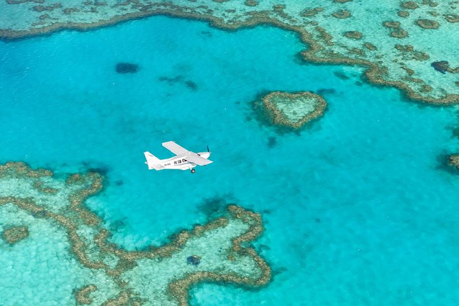 Great Barrier Reef Scenic Flight and Ocean Rafting Whitehaven Beach Day Trip - Positive Experiences