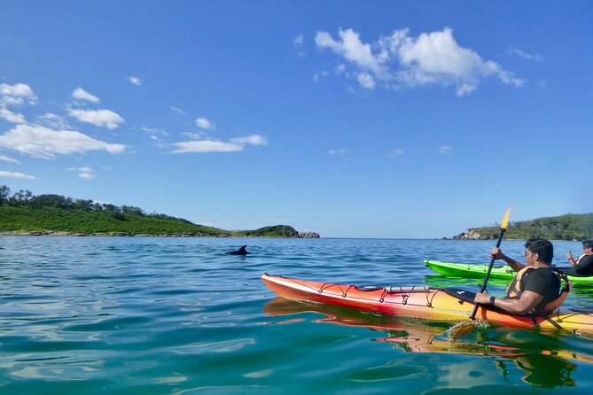 Half-Day Jervis Bay Sea Kayak Tour - Admission and Accessibility