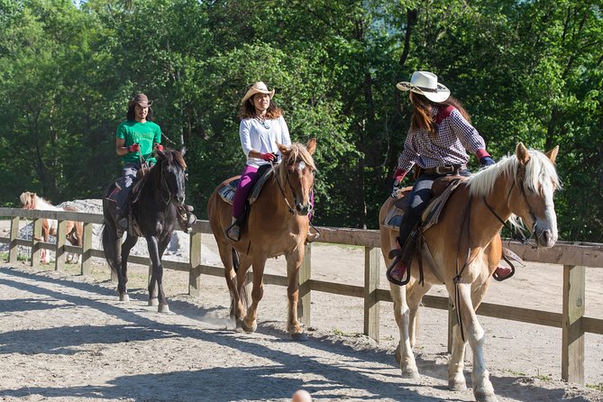 Horseback-Riding in a Country Side in Sapporo - Private Transfer Is Included - Inclusions