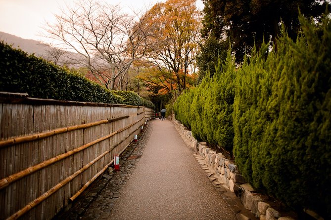 Kyoto Bamboo Forest Electric Bike Tour - Traveler Photos