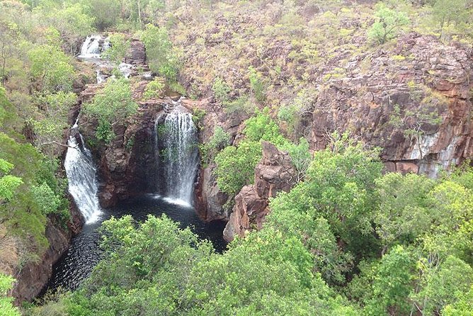Litchfield National Park and Jumping Crocodile Cruise - Positive Experiences