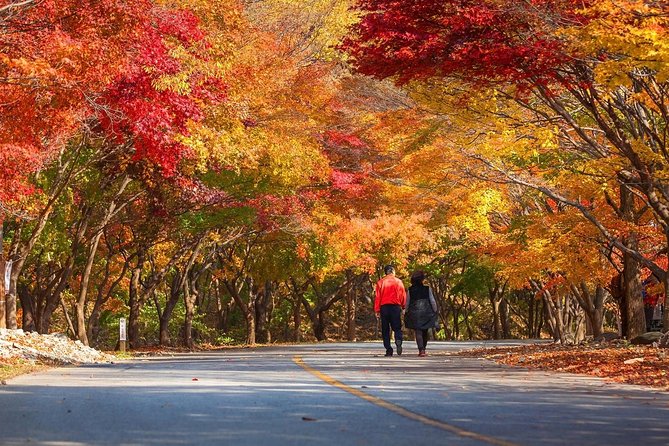 Magnificent Naejangsan National Park Autumn Foliage Tour From Seoul - Additional Information