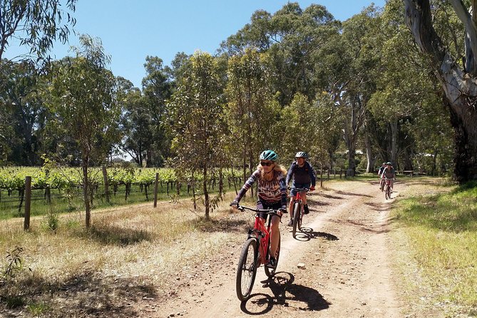 McLaren Vale Wine Tour by Bike - Reviews and Testimonials From Previous Customers