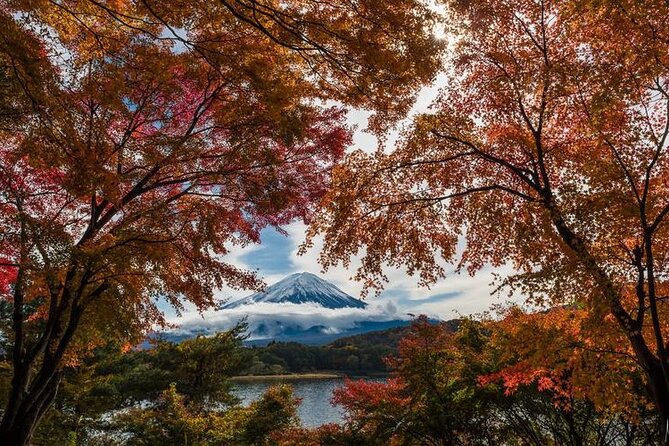 Mount Fuji Private Tour by Car With Pick up - Positive Experiences With Drivers