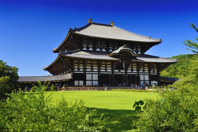 Nara, Todaiji Temple & Kuroshio Market Day BUS Tour From Osaka - Weather and Travel Requirements